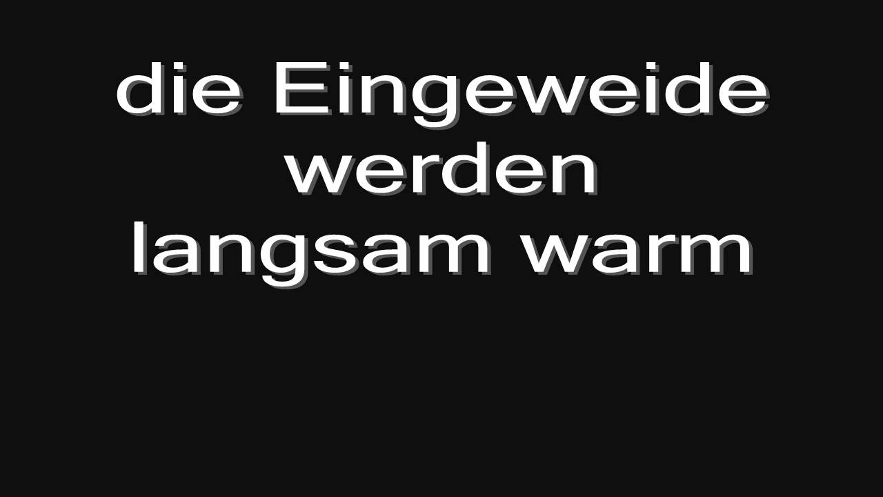 Rammstein - Adios (lyrics) HD