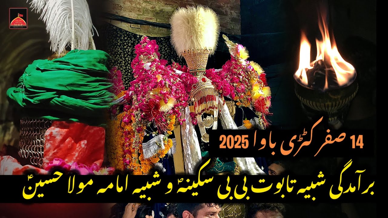 14 Safar Katri Bawa 2025 | Baramdagi Shabih Taboot Bibi Sakina (S.A) | Lahore Azadari Full Video