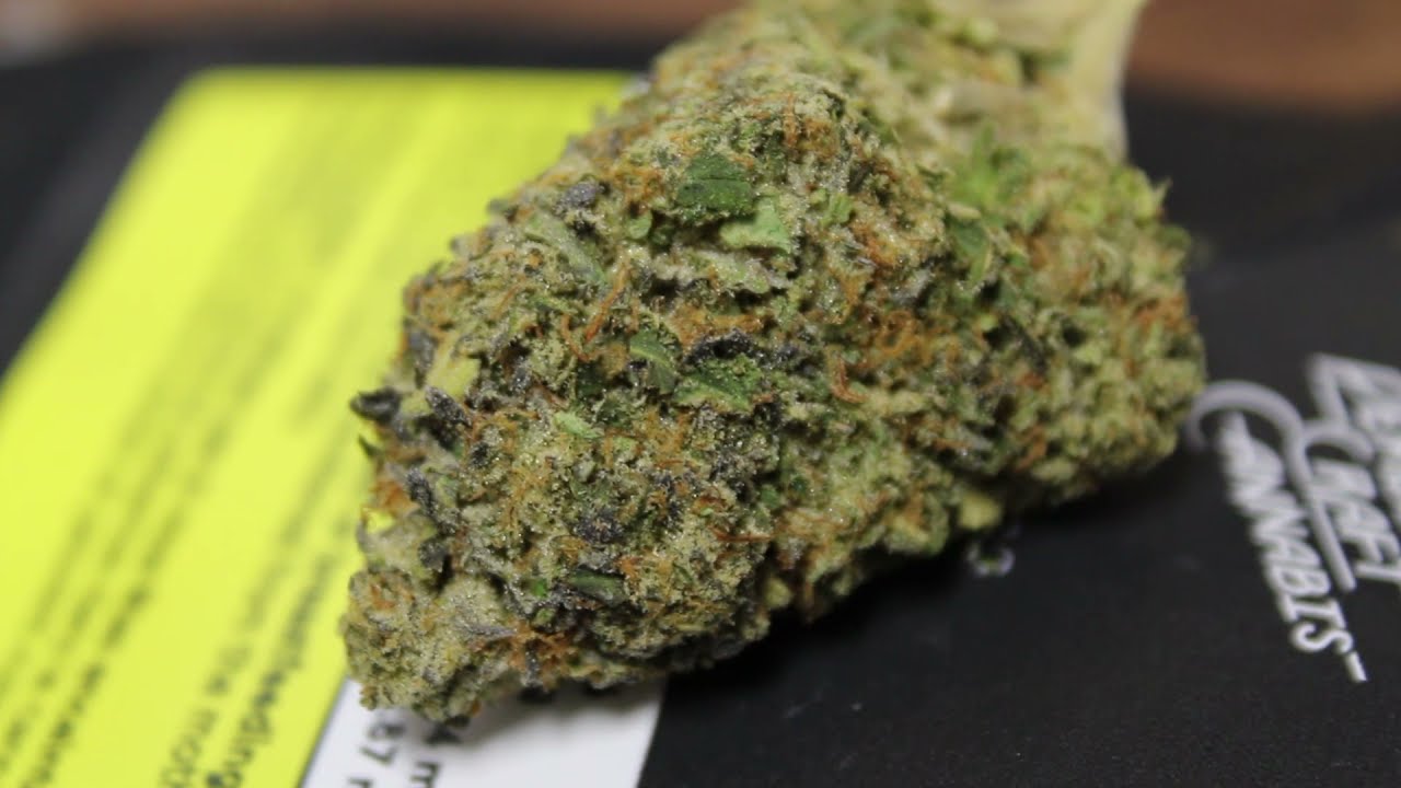 LEMON OG STRAIN REVIEW PEMBERTON CRAFT CANNABIS - Beegreen91.com