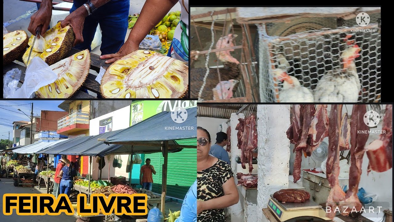 FEIRA LIVRE DE PRIMAVERA- PE.
