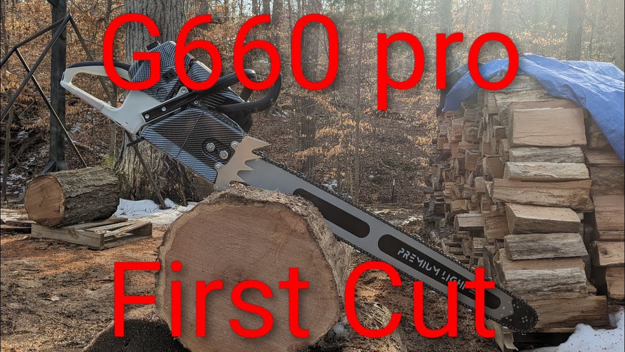 The Holzfforma g660 pro first time in the wood #chainsaw #stihl #subscribe #fup #powertools 