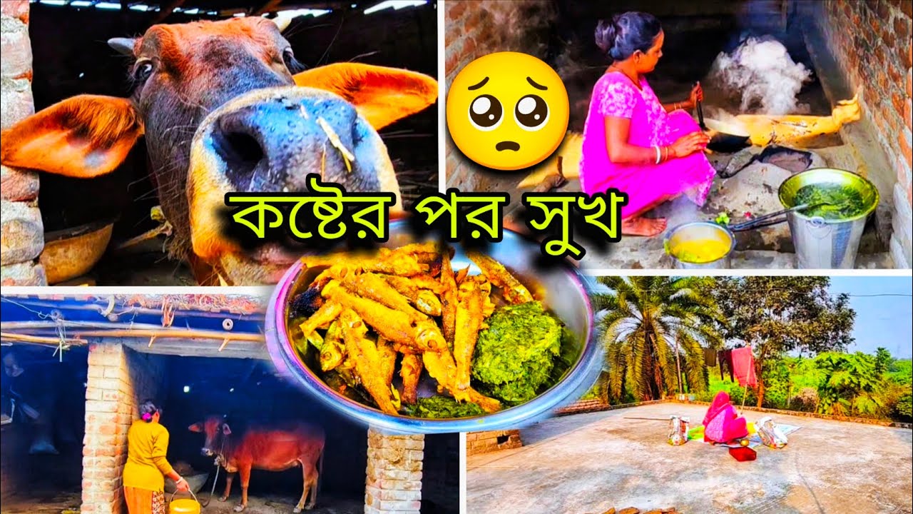 🙄প্রতিদিনের রুটিন অনুযায়ী সকাল থেকে পরিশ্রম করে যেভাবে সব কাজ গুছিয়ে করি #viral #villagelife 
