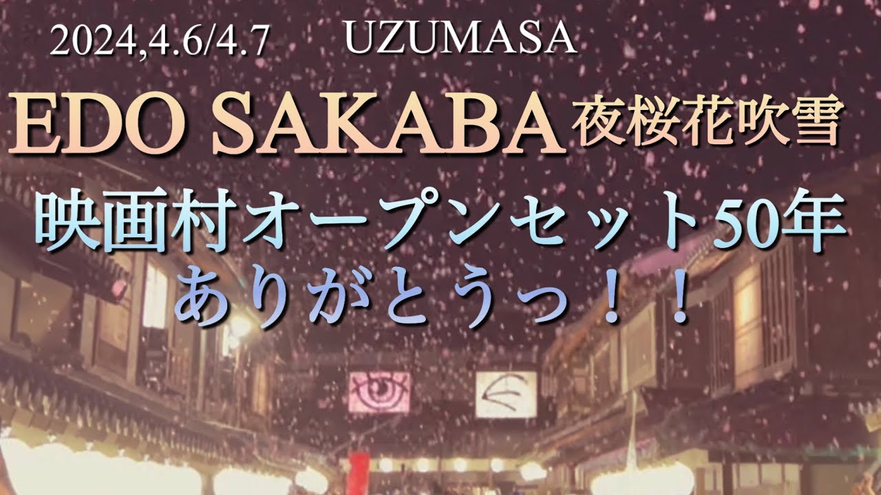 EDO SAKABA夜桜花吹雪　2024 映画村オープンセット50年ありがとうっ！！
