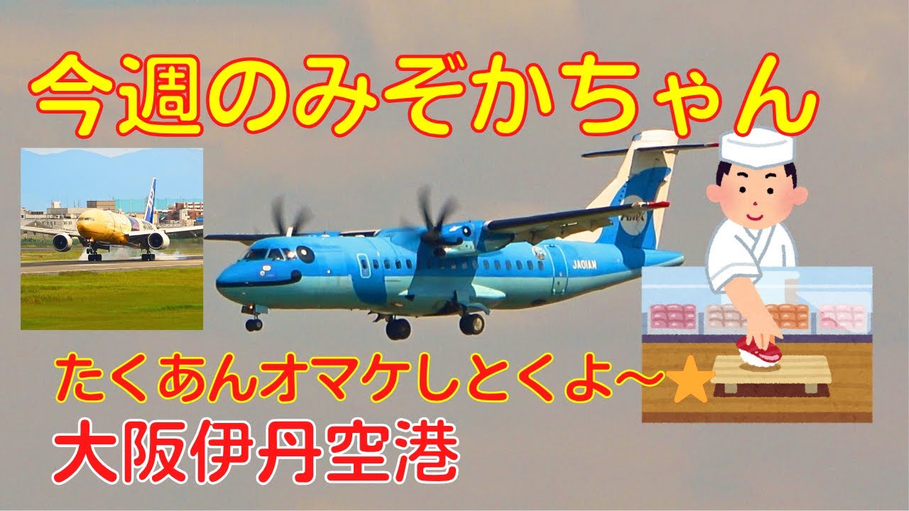 【大阪伊丹空港】今週のみぞかちゃん　2023.9.30　新しい特別塗装機