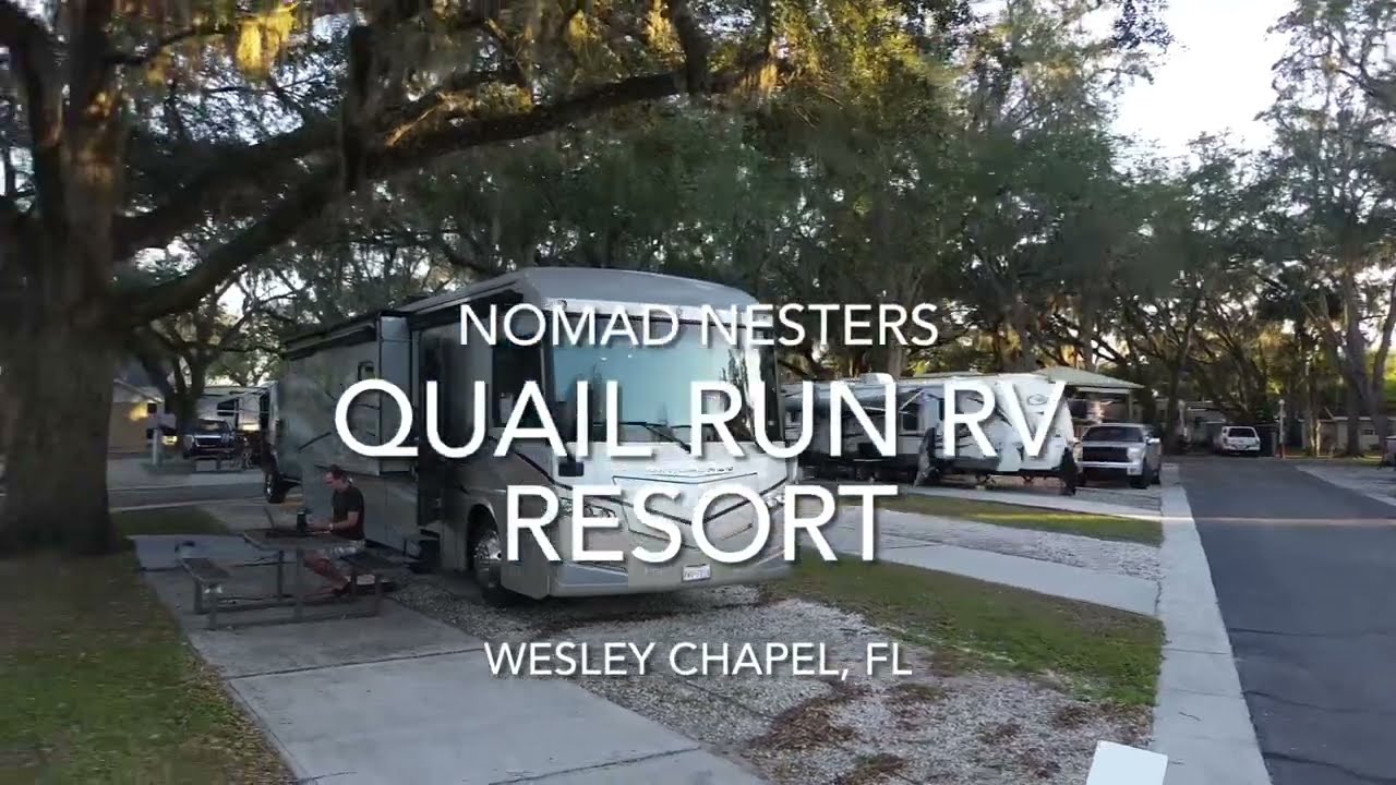 Quail Run RV Resort Wesley Chapel, FL - Quiet Park, Close to Everything!