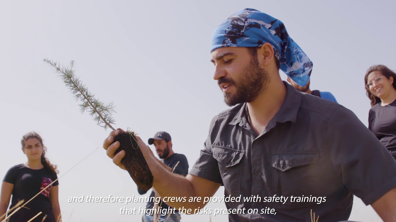 Lebanon Reforestation Initiative - Outplanting Best Practices