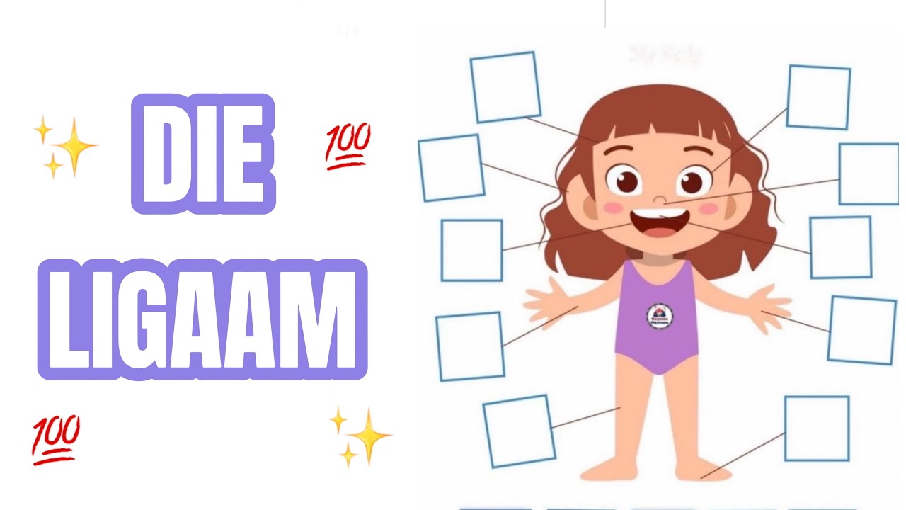 DIE LIGAAM (BODY): fun and easy FAL Afrikaans lesson!