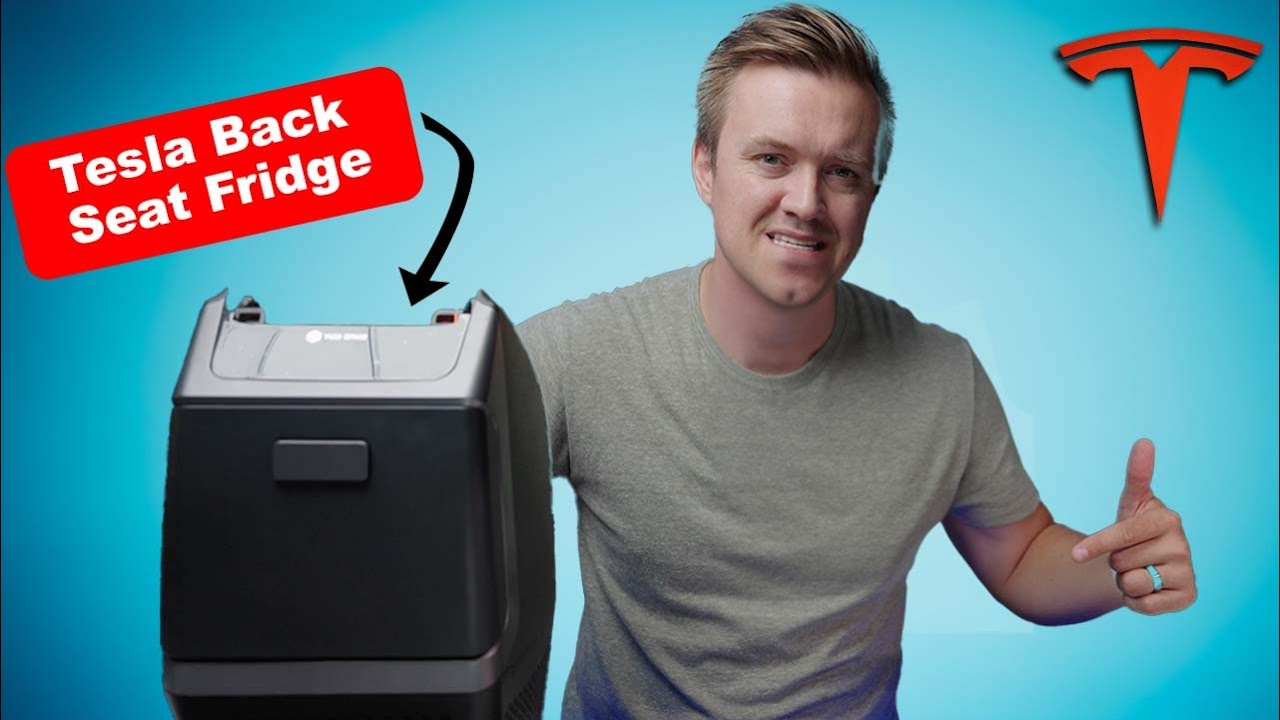 I Reviewed A Tesla Fridge For The Back Seat