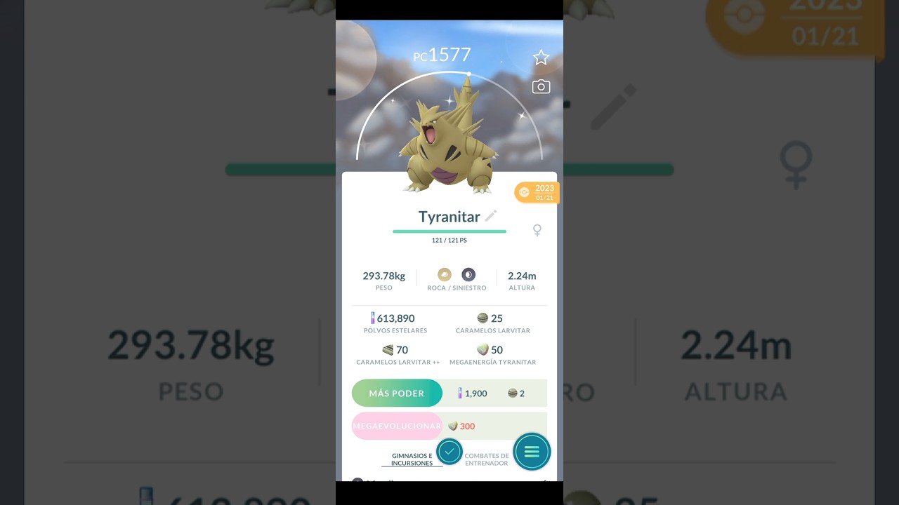 ✨️Evolucionando a Tyranitar Shiny en Pokémon Go✨️ 