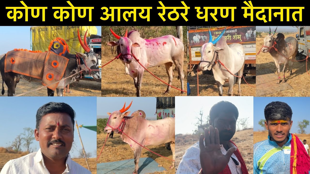 कोण कोण आलय रेठरे धरण मैदानात | भाग 2