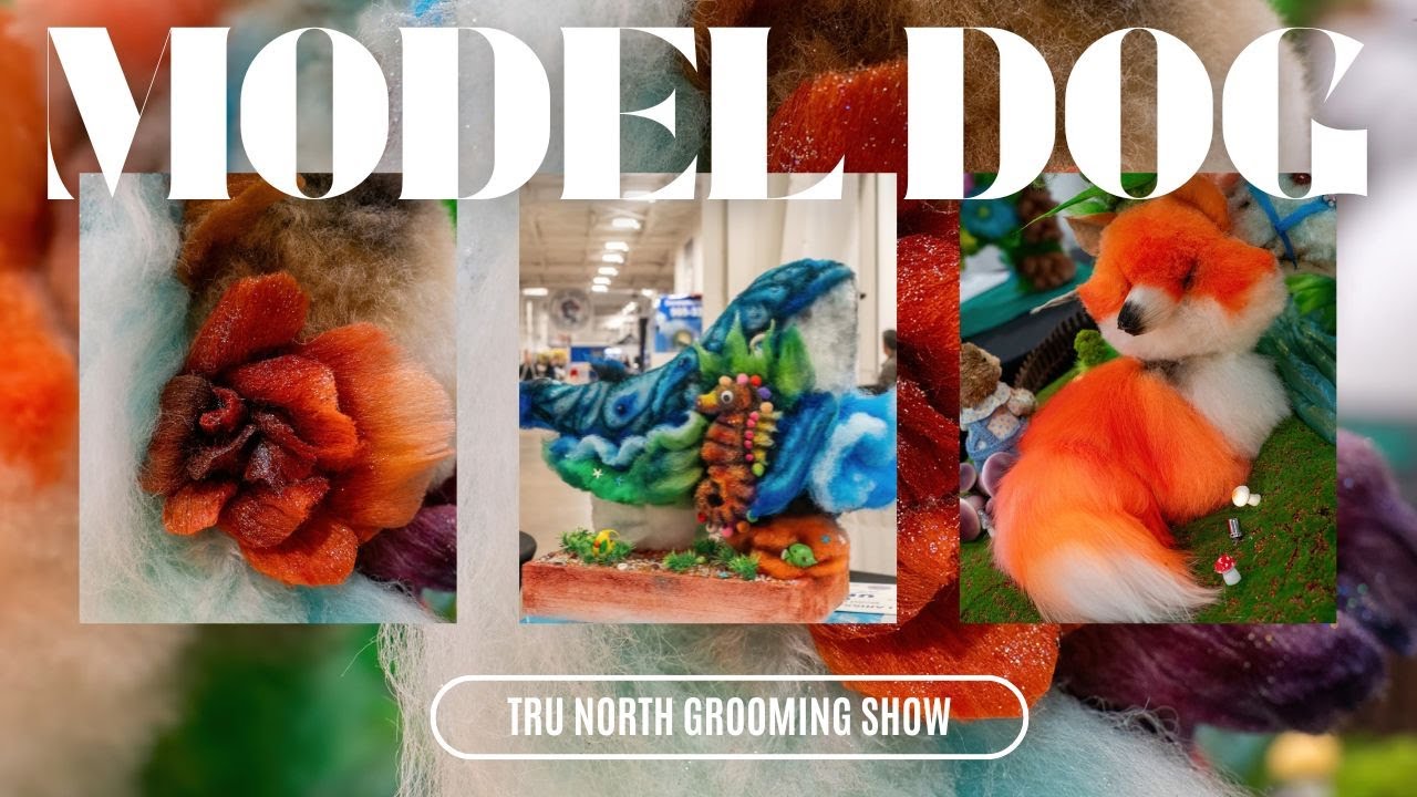 The Winning Model Dog Designs from Tru North Grooming Show with OPAWZ #opawz #dog #pets #grooming