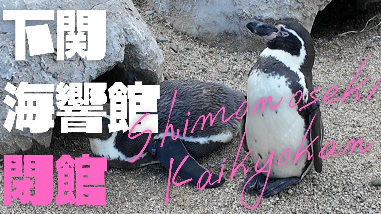 【山口観光】休館直前の下関の水族館「海響館」へ行ってきた！