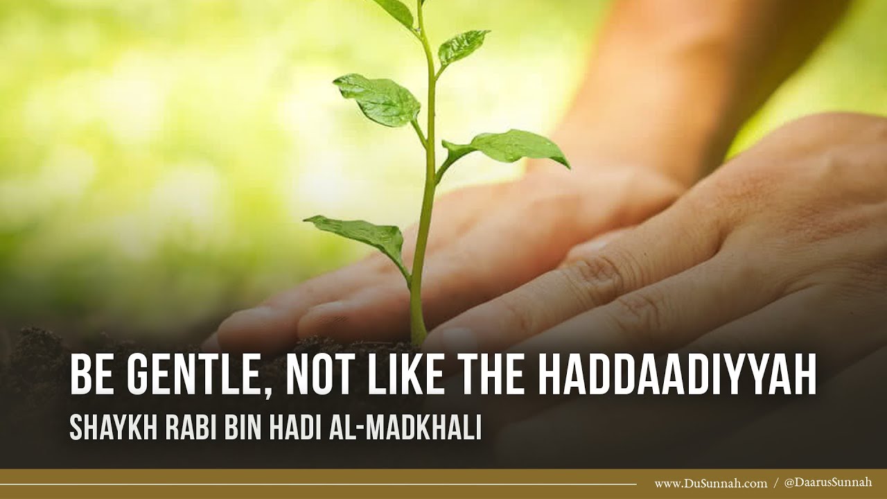Be Gentle, Not Like The Haddaadiyyah | Shaykh Rabi bin Hadi al-Madkhali