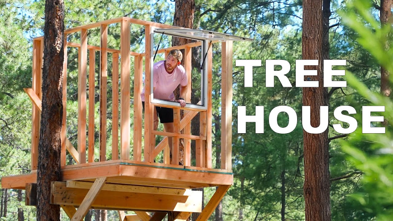 Building A Treehouse In My Backyard