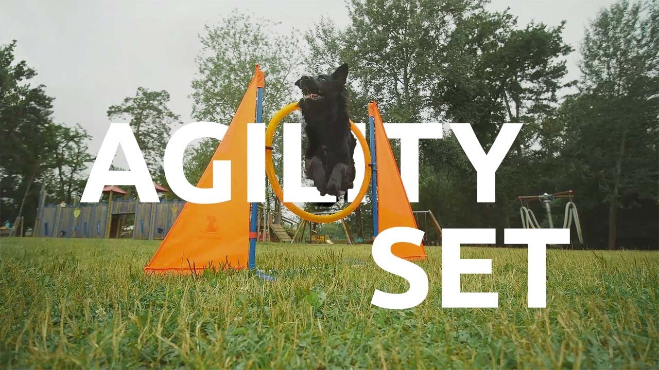The SparklyPets Dog Agility Set