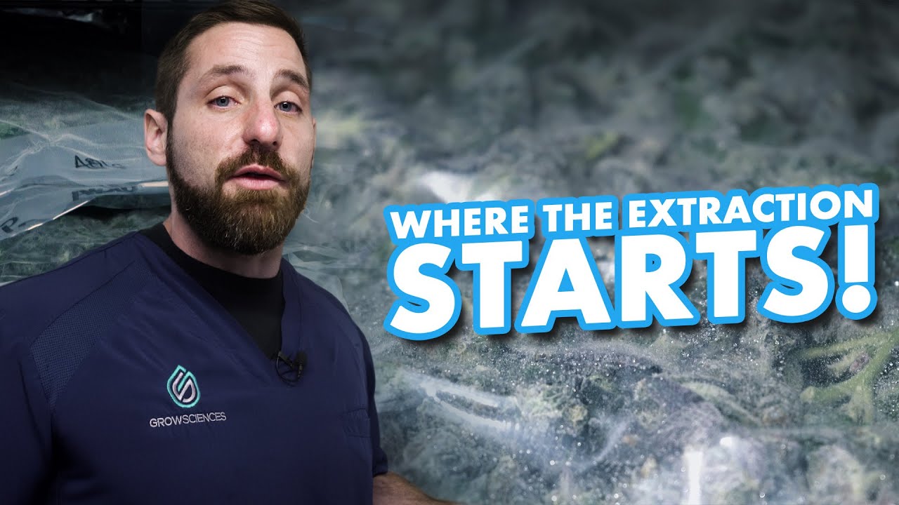 Where The Extraction Starts!