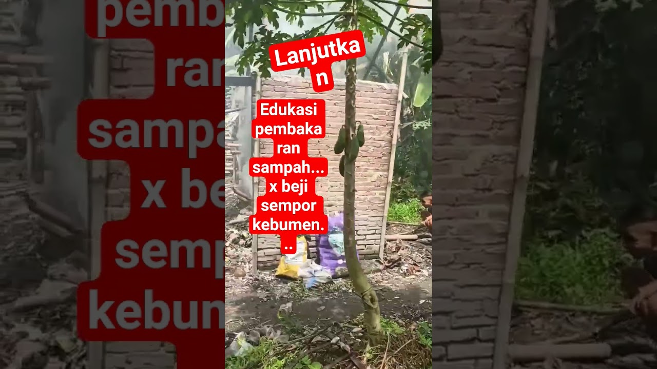 pesona x beji sempor Gombong indonesia....menyala ketua😎😎😎🙏🙏