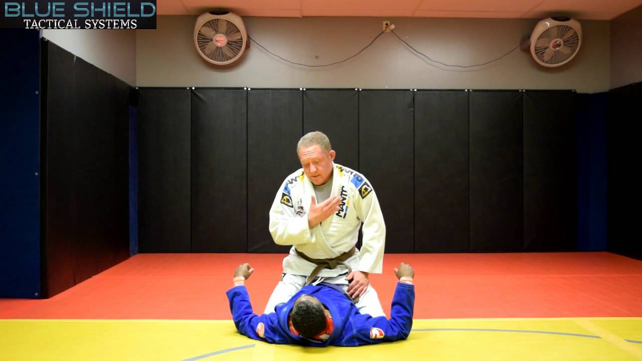 Blue Shield Tactical Systems Variations of the Mount Position