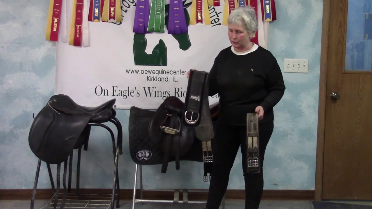 Learn difference between jumping, dressage saddles and girths #horseriding #horse #horsebackrider