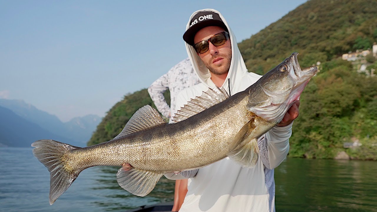 I LUCIOPERCA del Lago di LUGANO - Pelagic Fishing in Lugano Lake