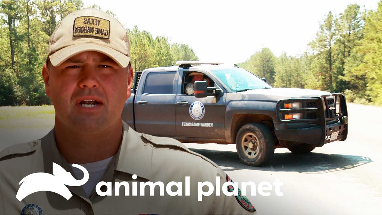 Guardianes se unen a persecuci&oacute;n de delincuente | Guardianes de Texas | Animal Planet