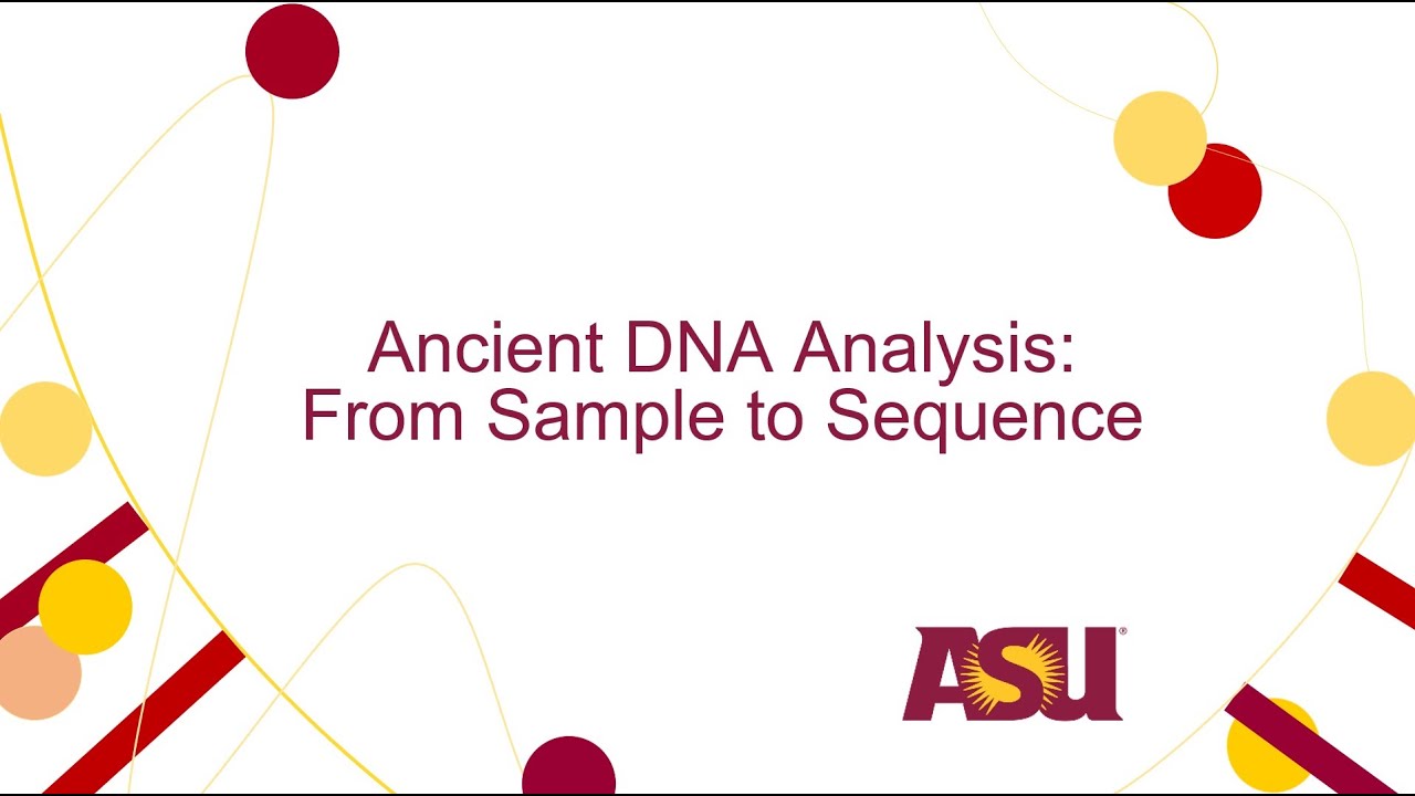 Ancient DNA Analysis: From Sample to Sequence