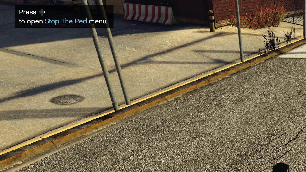 My Broadcast