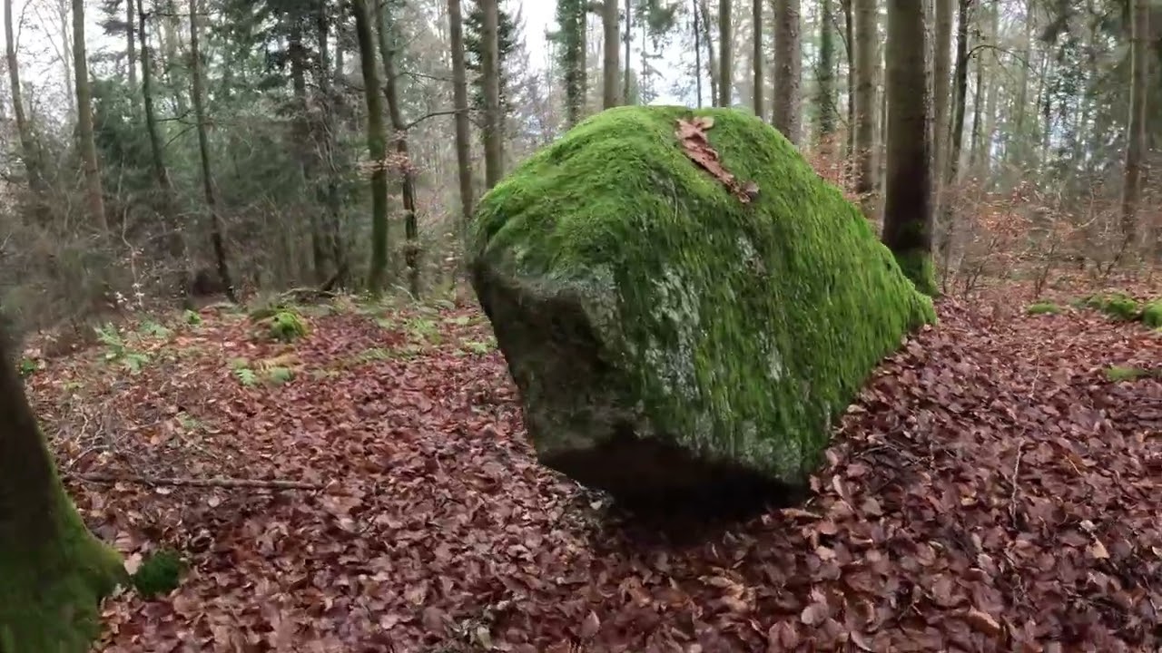 Kraftort-Wandern.com bei Steinkreisen mit Nadja