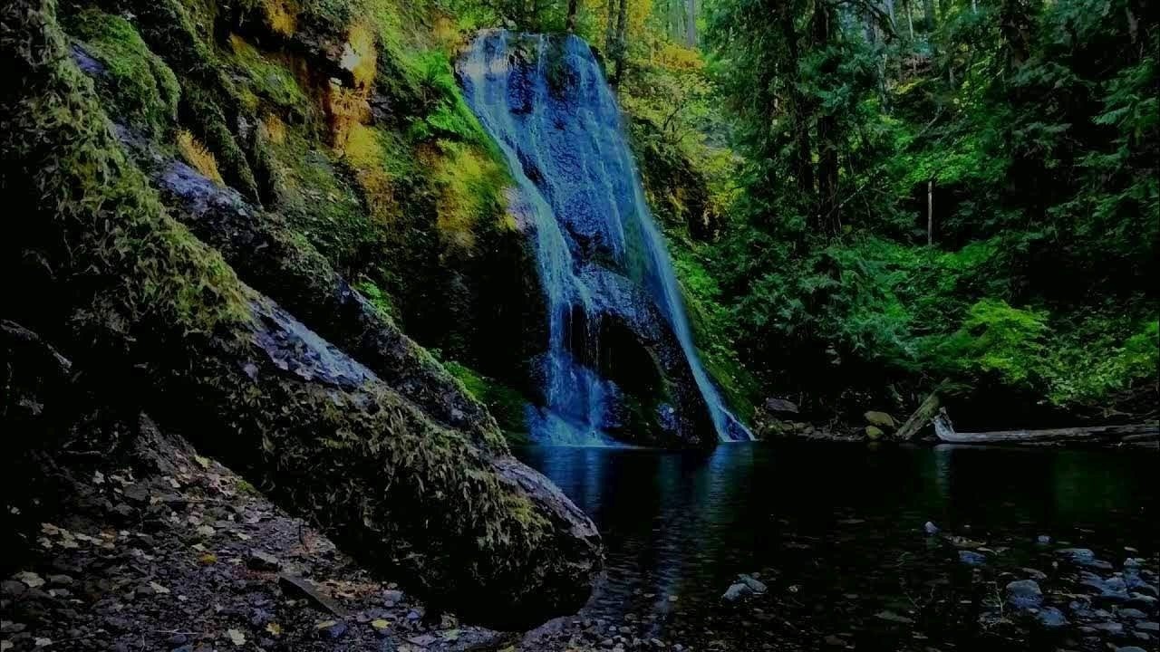 Forest Waterfall &ndash; 5 Stunden Wasserfallkl&auml;nge zum Einschlafen & Entspannen | Pure AI ASMR