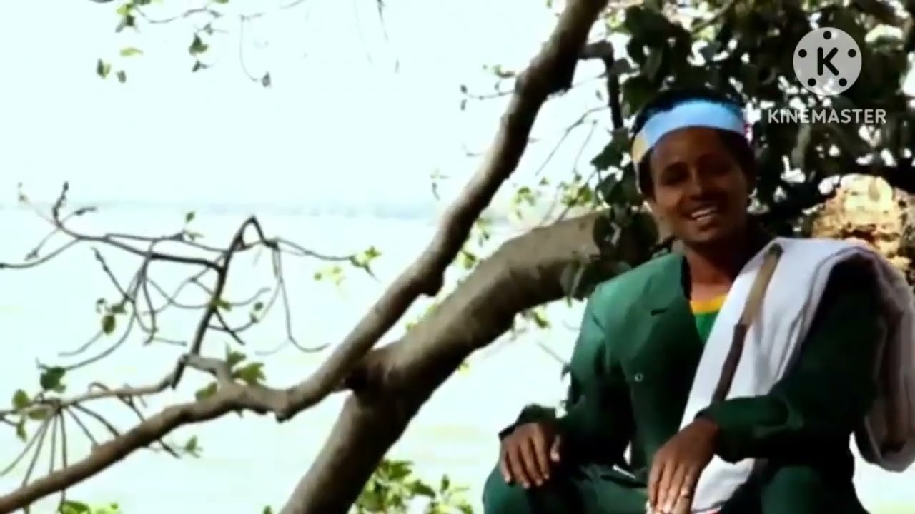ጎዴር ጎጃም ወሎ ሸዋ   የመብሬ መንግስቴ ቆየት ያሉ ሙዚክ 💚💛❤️👌👌👌