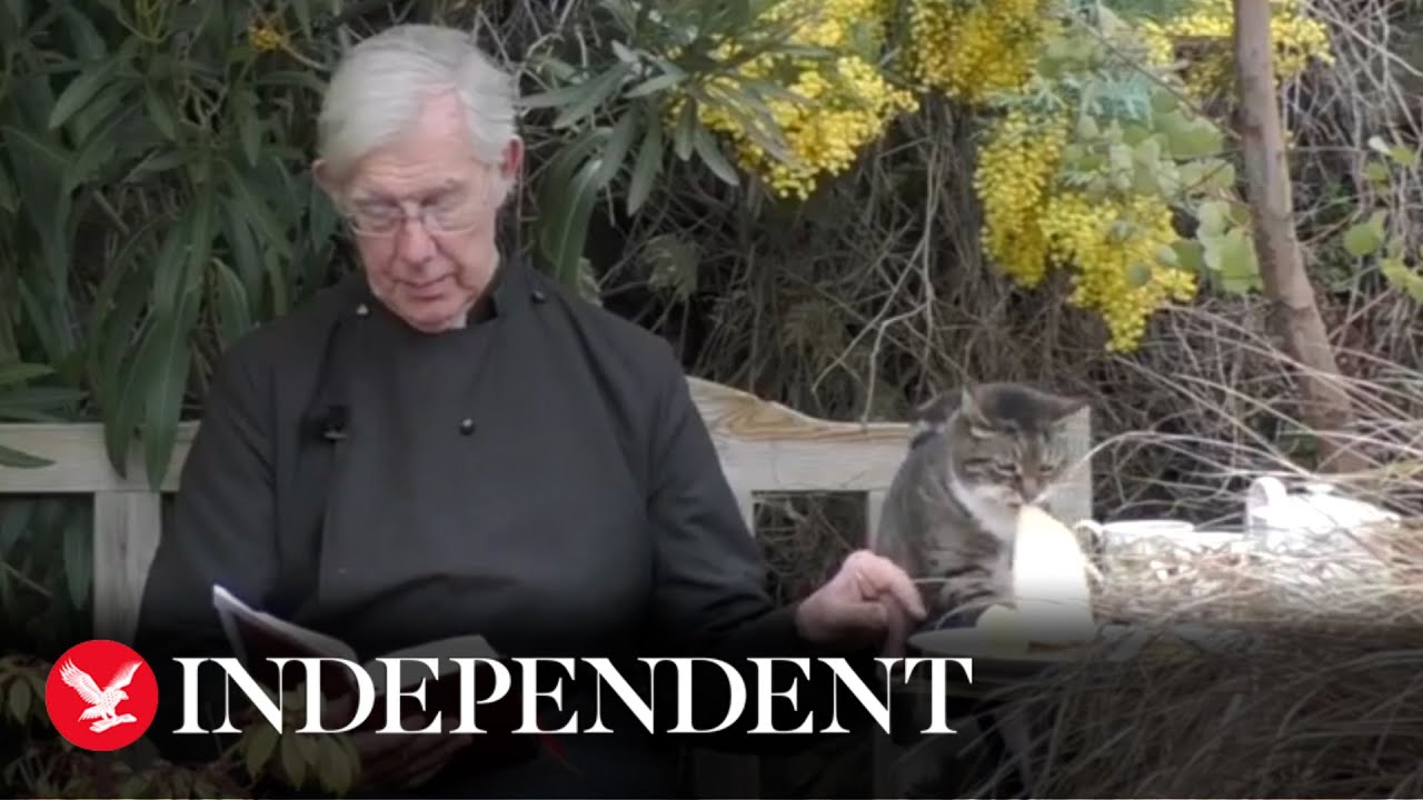 Cat steals Dean of Canterbury's pancakes during morning prayer