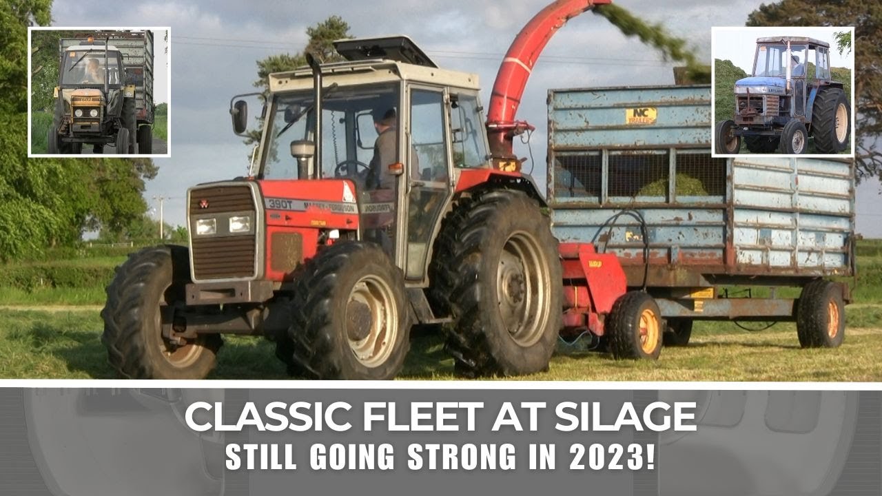 Silage with classic machinery: Massey 390T, Taarup 622, Marshall 602, Leyland 272 (Part 1)