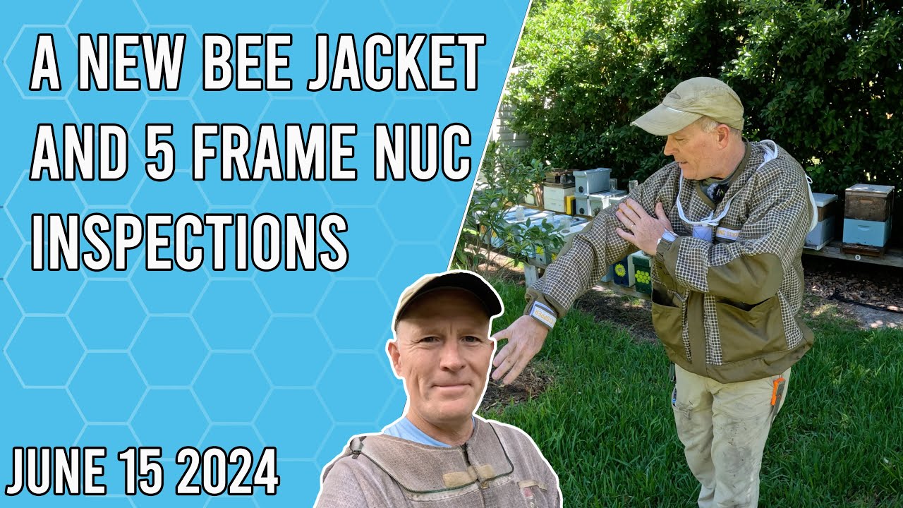 A New Bee Jacket and 5 Frame Nuc Inpections - Jacksonville FL Zone 9b