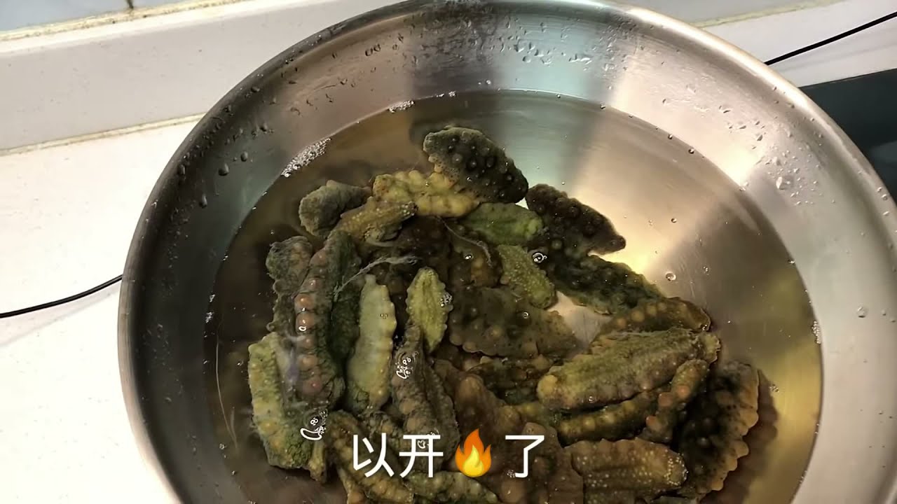 安子教你青岛家庭版鲜海参处理方法，快点学起来