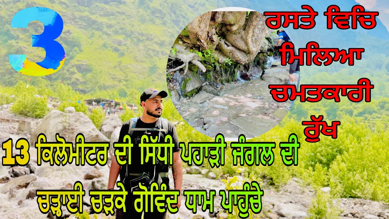 ਯਾਤਰਾ ਸ੍ਰੀ ਹੇਮਕੁੰਟ ਸਾਹਿਬ 2025 | ਦਿਨ ਤਿਜਾ | ਗੋਵਿੰਦਘਾਟ ਤੋਂ ਗੋਵਿੰਦਧਾਮ ਰਾਸਤੇ ਵਿੱਚ ਮਿਲੀਆ ਅਨੋਖਾ ਰੁੱਖ 2025.