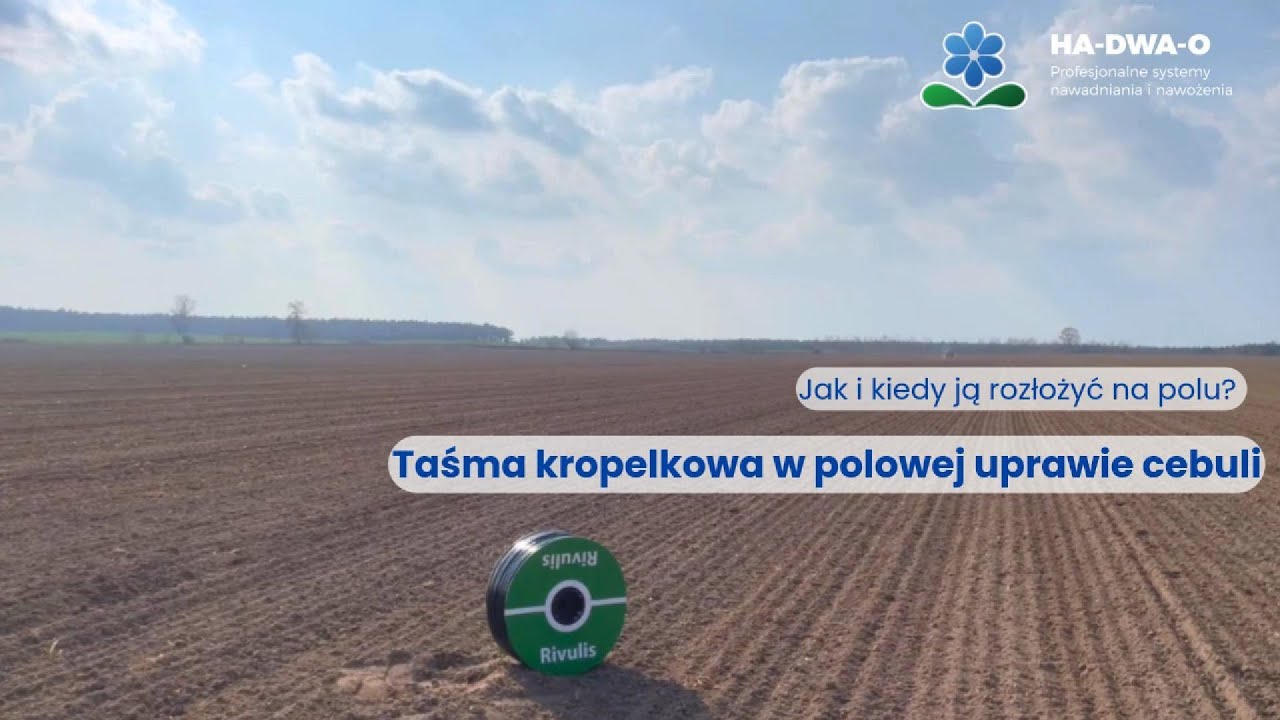 Jak rozkładać taśmę kroplującą?
