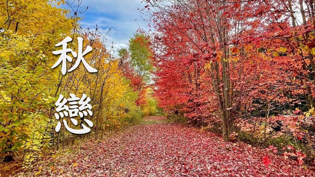 秋戀- 《  江東  》✨ 榮獲香港國際音樂節金獎。歌聲深沉纏綿，打動人心，猶如一壺陳釀老酒，越喝越迷…✨