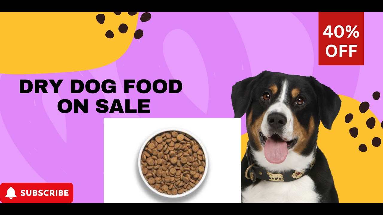 🐶 Top 5 Best Dog Food for Beagles in 2026 | Healthy & Active Beagle Dogs Recommended Nutrition food