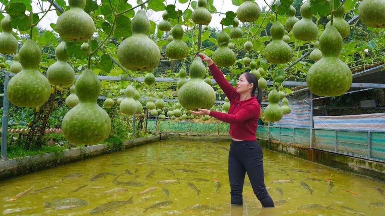 我花兩年心血打造的世外桃源，結果只有滿地葫蘆和蔬菜…賣給商販還能賺錢？太慘了！ #农村生活 #乡村建造 #农家美食 #农场日常 #乡村致富