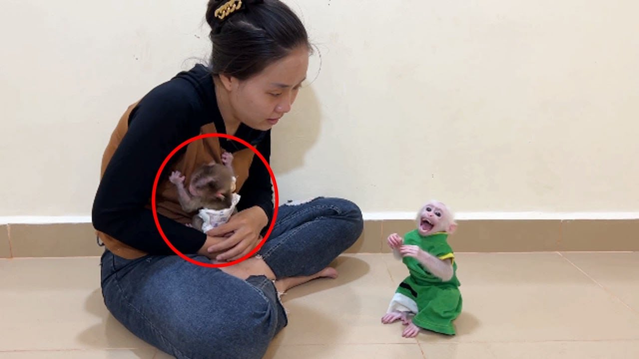 Pavpav Sit Tiny Scream Loud Contact Dad When Jeal0us Mom Hug Titas