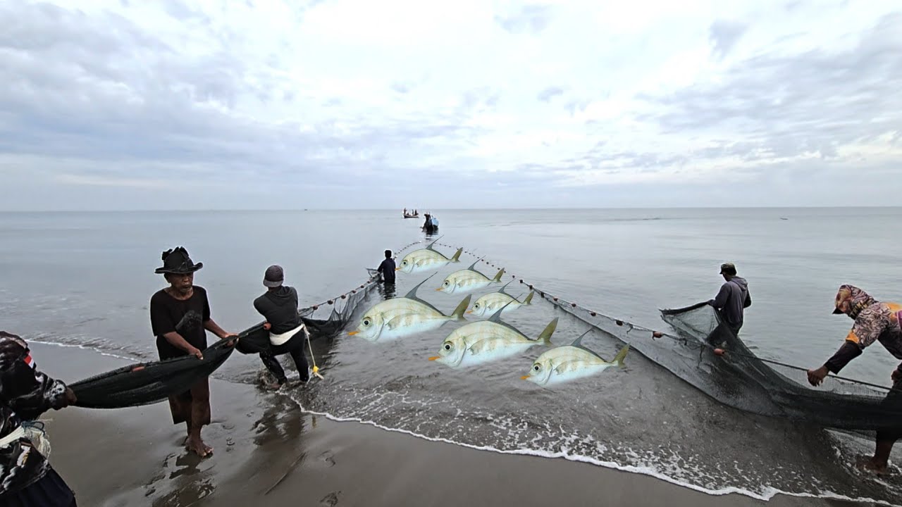 Massive Shore Fishing Catch | Beach Seine Net Technique