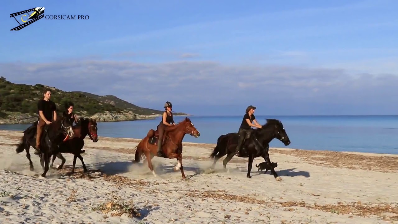 Rando Cheval en Corse - De la montagne &agrave; la mer - Galops sur la plage