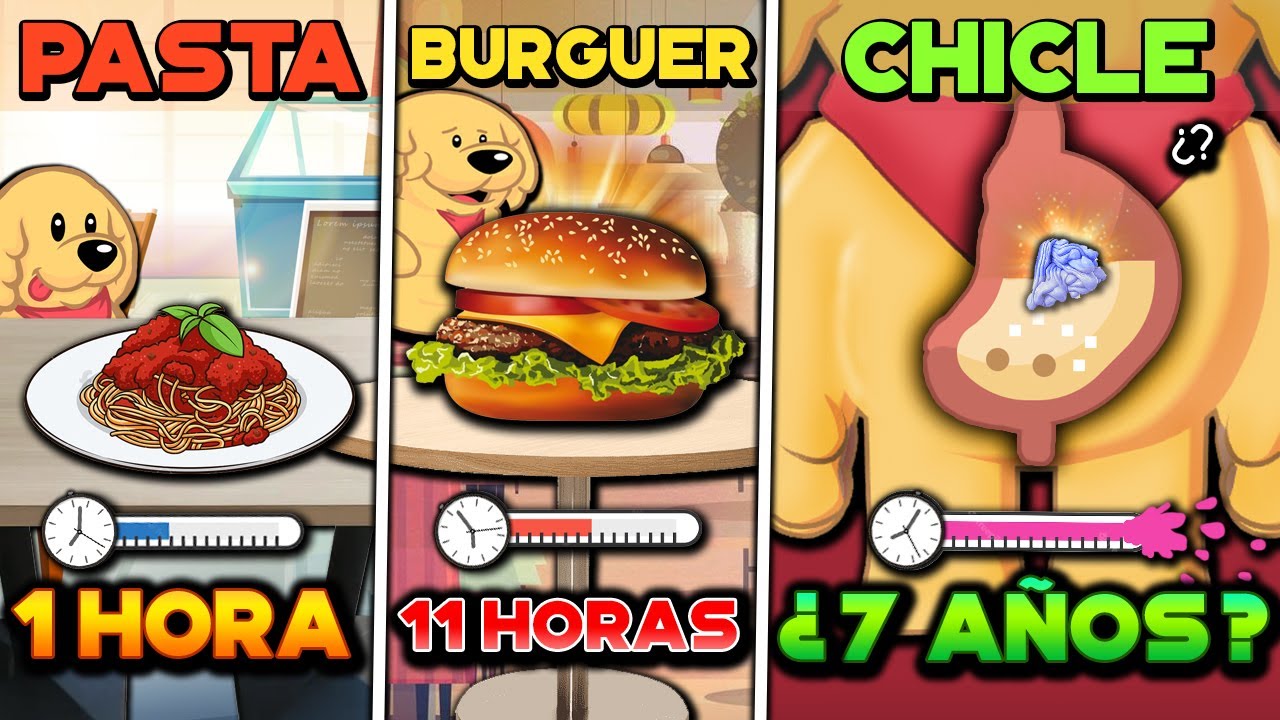 &iquest;Cu&aacute;nto TIEMPO TARDA esta COMIDA en tu EST&Oacute;MAGO? | Ay no!! 😨