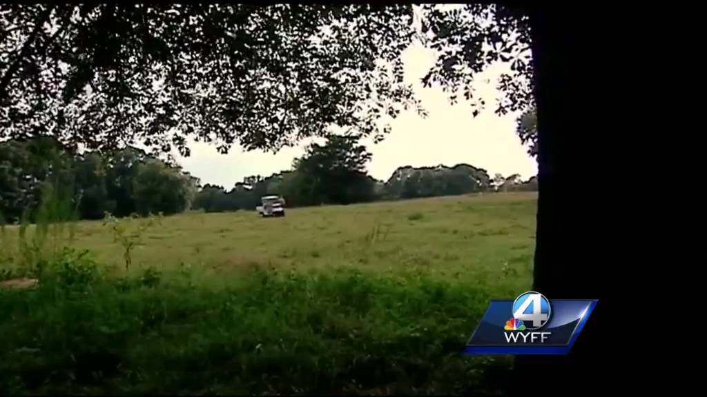 Eight cows dead after apparent lightning strike