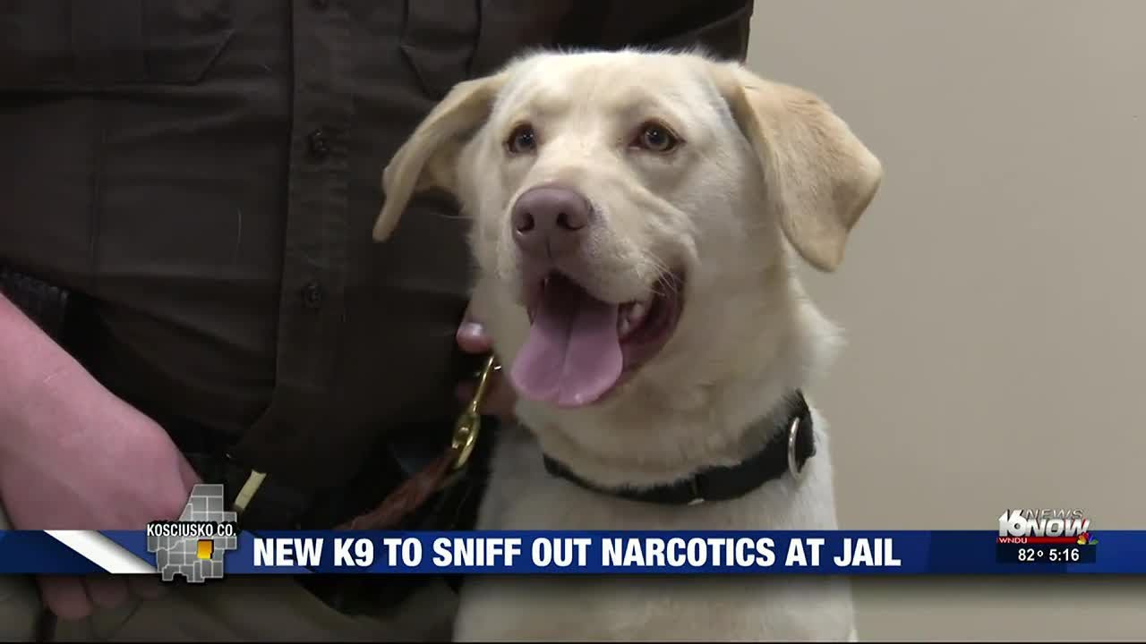 Kosciusko County Sheriff&rsquo;s Dept. introduces first-ever jail drug detection dog