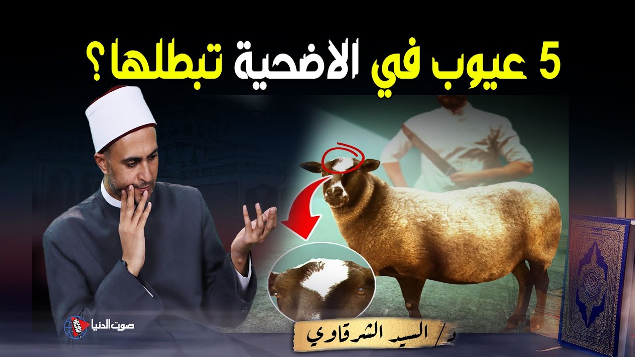 منها الهزلاء والعوراء 5  عيوب في الاضحية يجب تجنبها كما أخبرنا الرسول صلى اله عليه وسلم