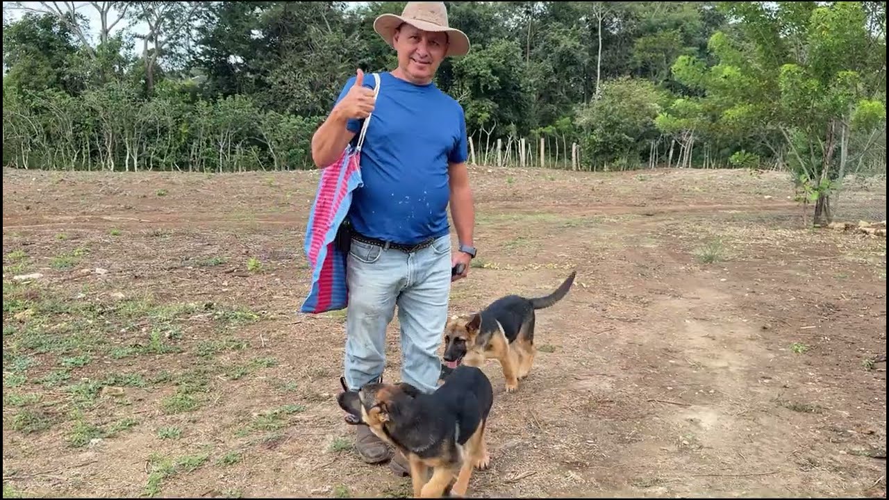 Una de las cosas mas bonitas en el campo es esta 🤔🤔😳😳