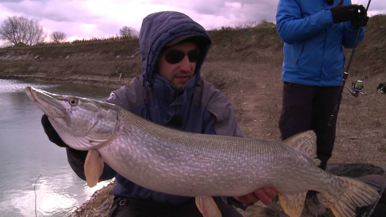 stiucile dintr un lac de peste 200 de ani