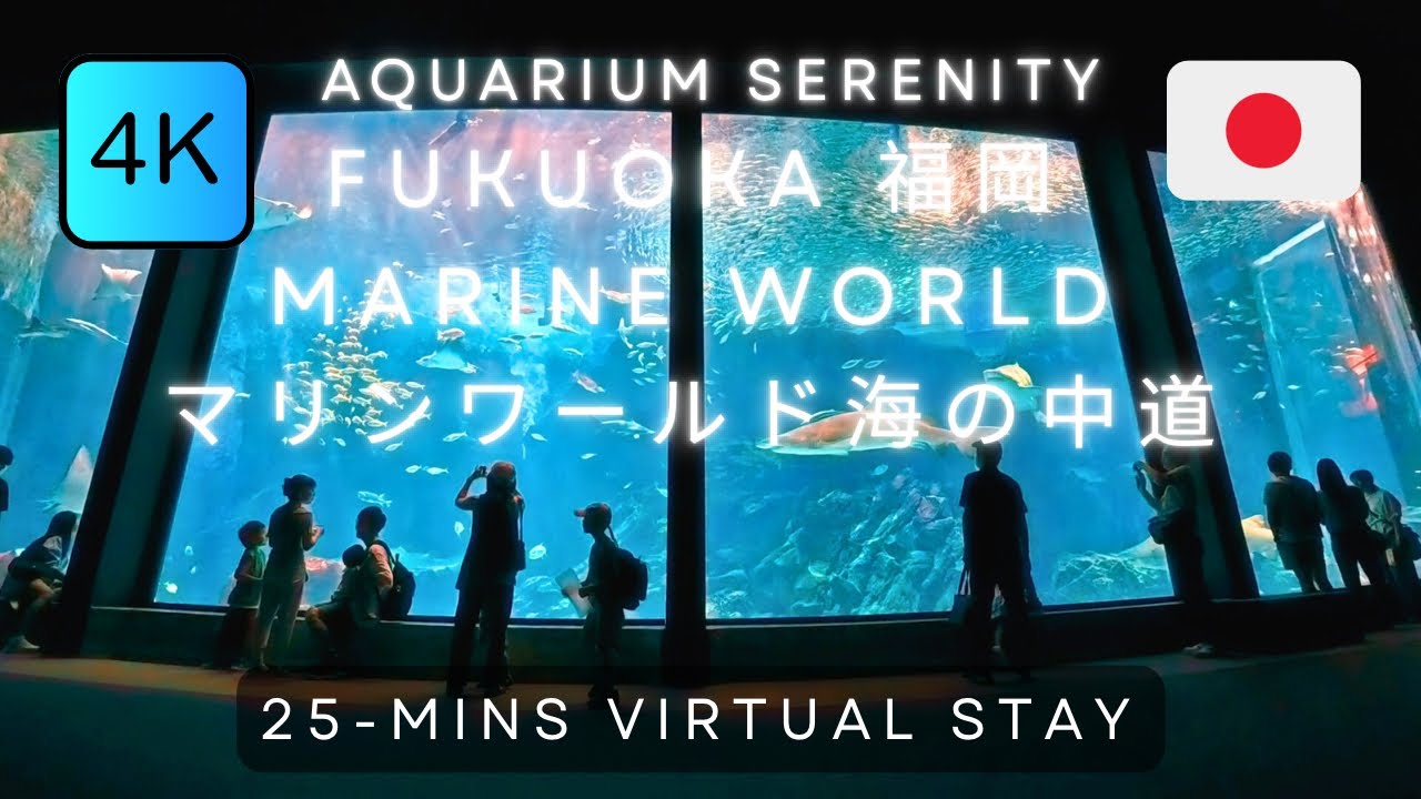 4K Aquarium Serenity at Marine World Aquarium | Fukuoka | Japan | Virtual Stay
