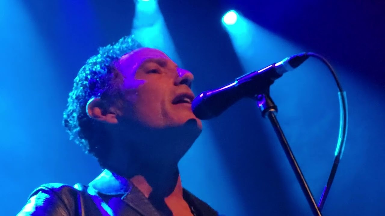 The Wallflowers - Some Flowers Bloom Dead. Menlo Park, October 19th 2023 The Guild Theatre